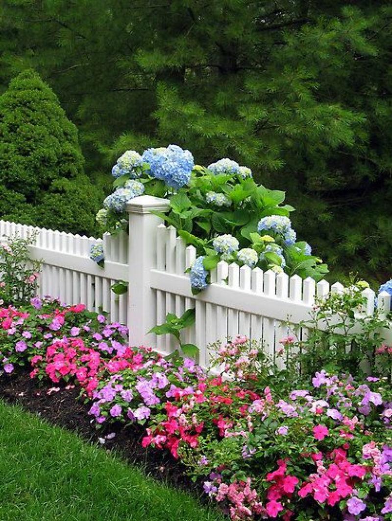 ตกแต่งสวน รั้วบ้าน ประตูบ้าน ด้วยดอกไม้ 30 ไอเดีย