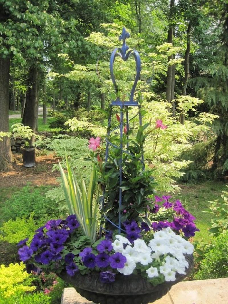 การจัดสวน กระถางดอกไม้ 30 ไอเดีย