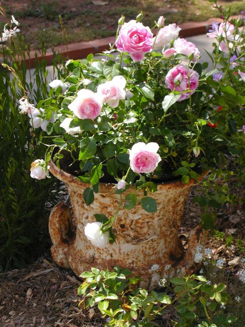 การจัดสวน กระถางดอกไม้ 30 ไอเดีย