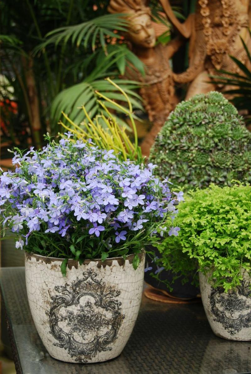 การจัดสวน กระถางดอกไม้ 30 ไอเดีย