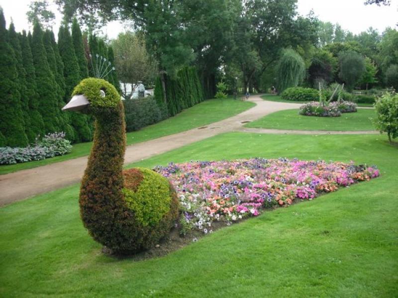 ตกแต่ง สวนดอกไม้ รูปนกยูง 15 อลังการณ์งานสวนสวย