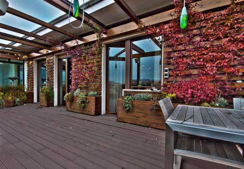 ตกแต่งผนังบ้าน กำแพงบ้าน ด้วยสวนไม้เลื้อย 12 ไอเดีย สวยๆ