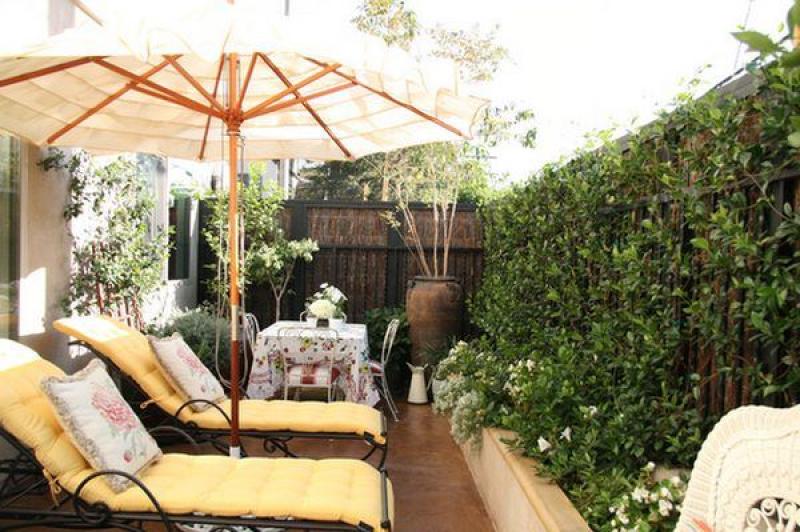 ตกแต่งผนังบ้าน กำแพงบ้าน ด้วยสวนไม้เลื้อย 12 ไอเดีย สวยๆ