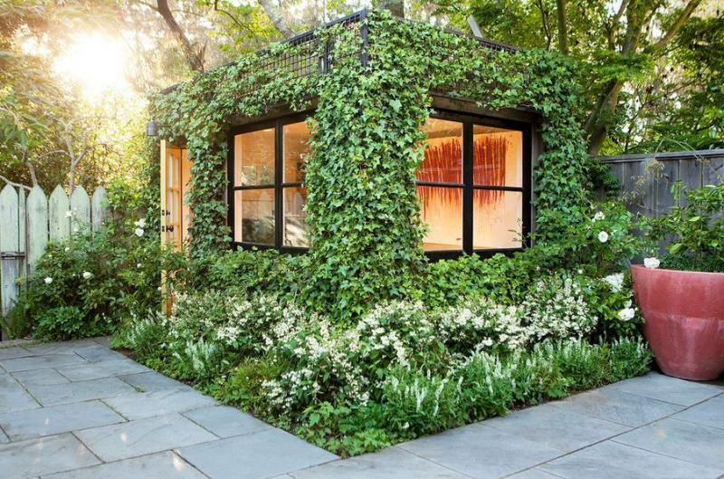 ตกแต่งผนังบ้าน กำแพงบ้าน ด้วยสวนไม้เลื้อย 12 ไอเดีย สวยๆ