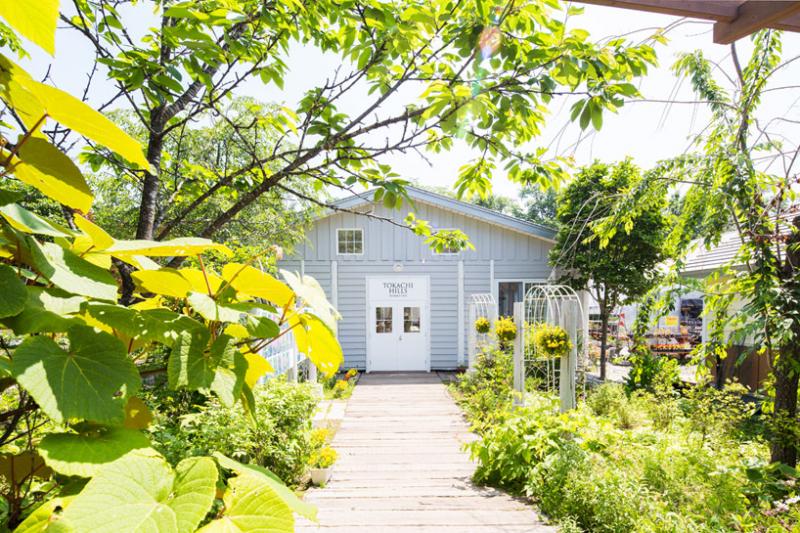 จัดสวน แบบภายในบ้าน อาคาร หรือร้านอาหาร สุดหรู