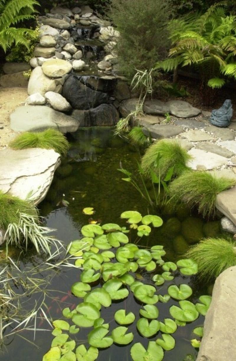 ตกแต่ง สวนน้ำ สวนน้ำตก สวยๆ