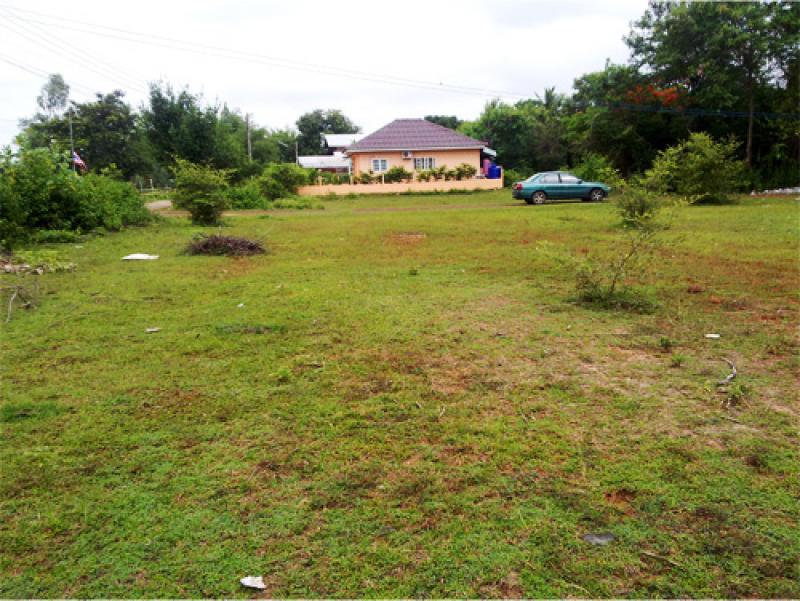 เลือกทรงที่ดินสำหรับปลูกบ้านให้อยู่เย็นเป็นสุข