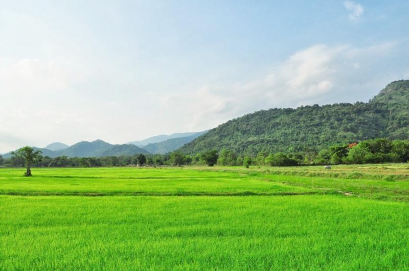 เลือกทรงที่ดินสำหรับปลูกบ้านให้อยู่เย็นเป็นสุข