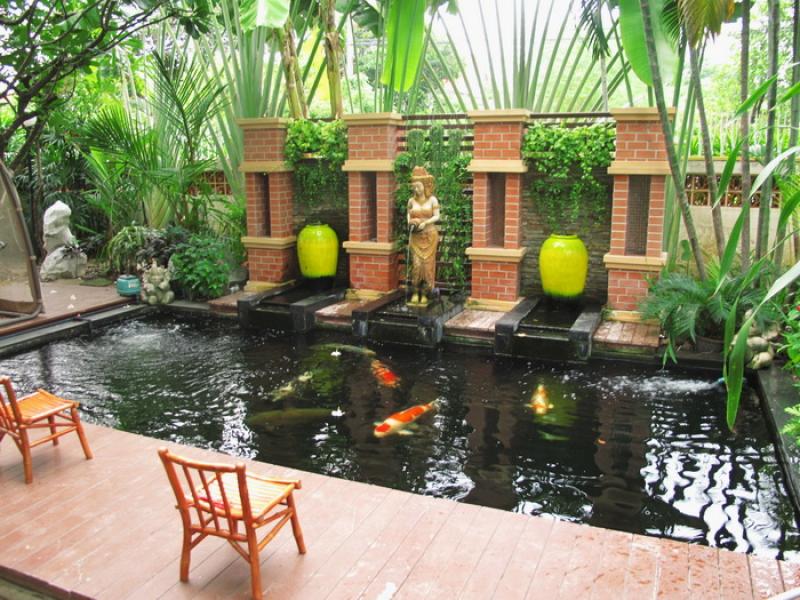 บ่อปลาคาร์ฟเสริมฮวงจุ้ยบ้าน