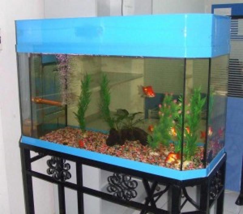 จัดแต่งตู้ปลาสวยๆกัน
