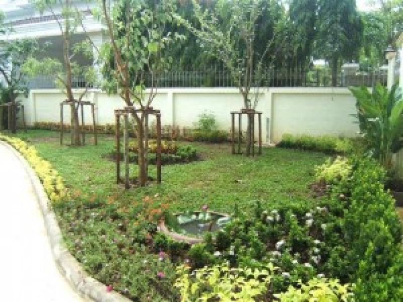 สวนหน้าบ้าน หลักฮวงจุ้ย