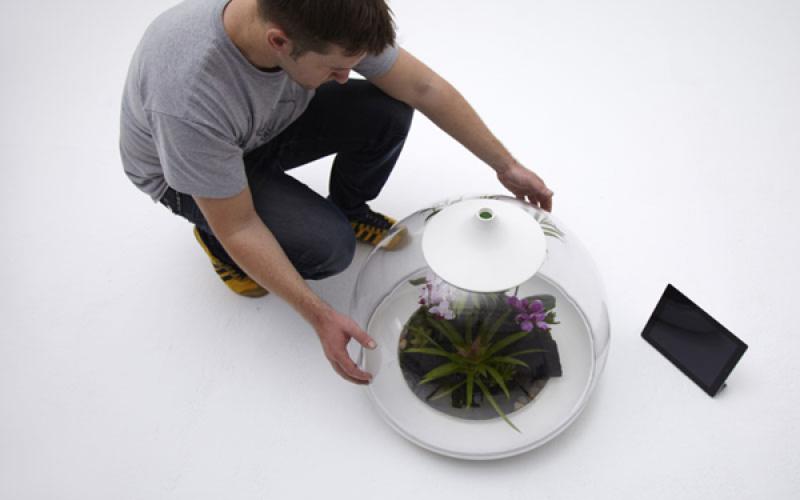 สร้างสวนจิ๋วในขวดแก้ว