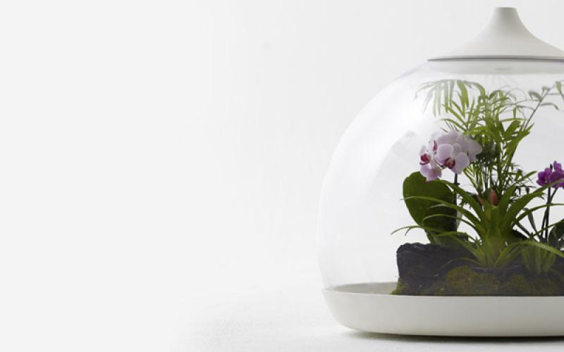 สร้างสวนจิ๋วในขวดแก้ว