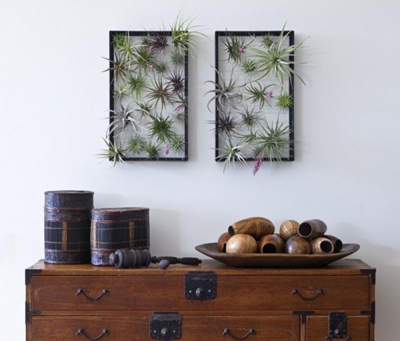 จัดสวนแนวตั้ง ไอเดียสุดฮิต