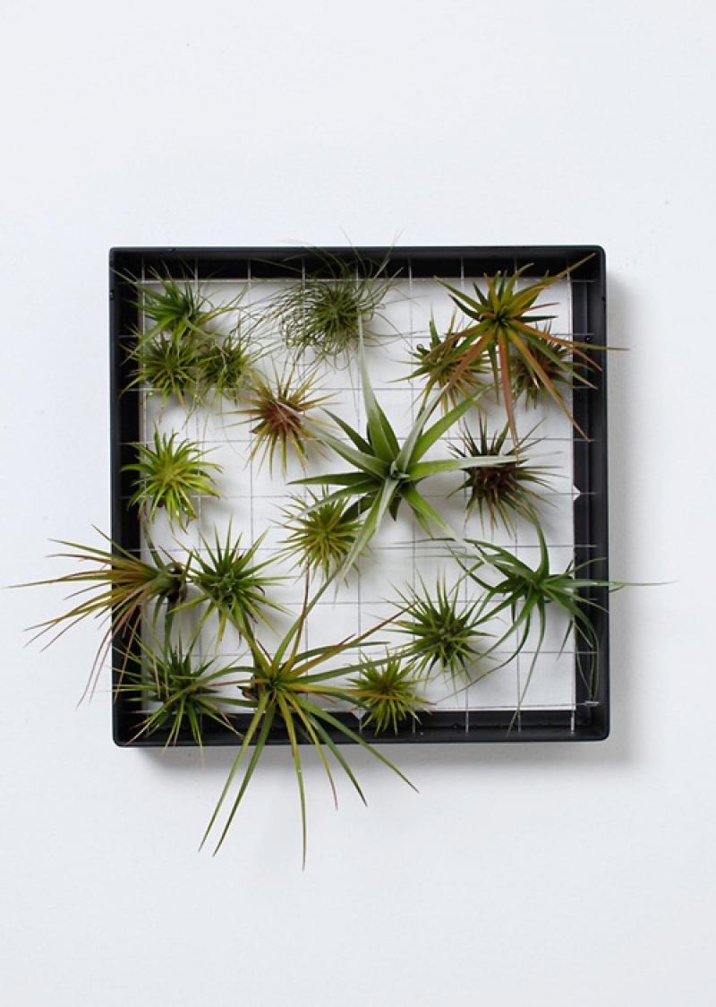 จัดสวนแนวตั้ง ไอเดียสุดฮิต