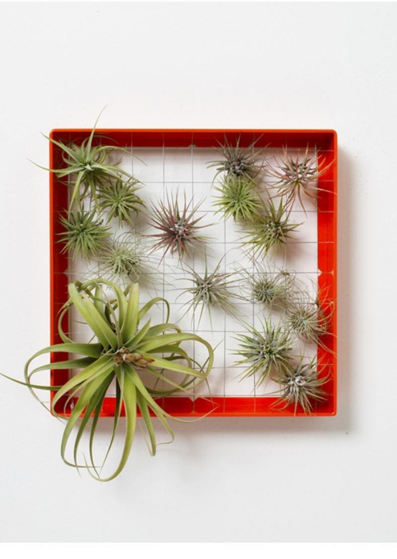 จัดสวนแนวตั้ง ไอเดียสุดฮิต