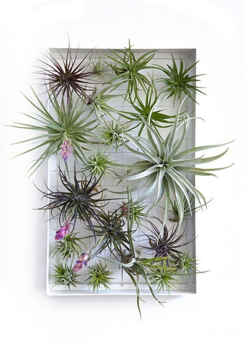 จัดสวนแนวตั้ง ไอเดียสุดฮิต