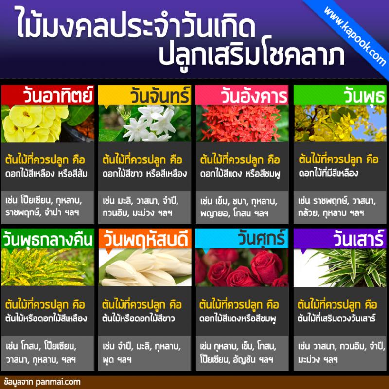 เสริมโชคลาภ...ด้วยการปลูกไม้มงคลตามวันเกิด