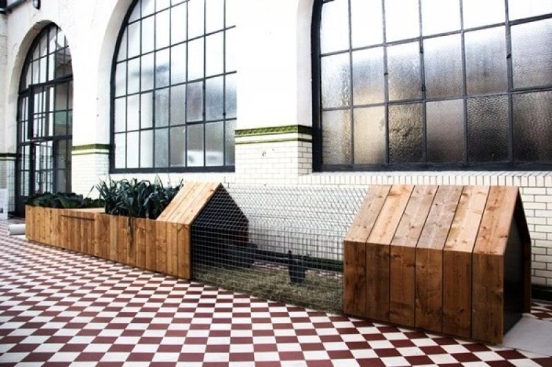 เล้าไก่โมเดิร์น สำหรับชีวิตคนเมือง