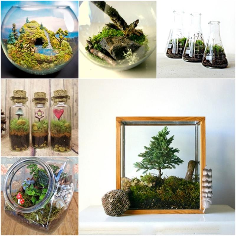 30ไอเดีย จัดสวนจิ๋ว ด้วย terrarium สวยๆ