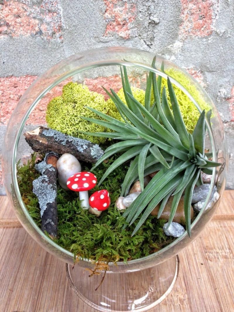 30ไอเดีย จัดสวนจิ๋ว ด้วย terrarium สวยๆ