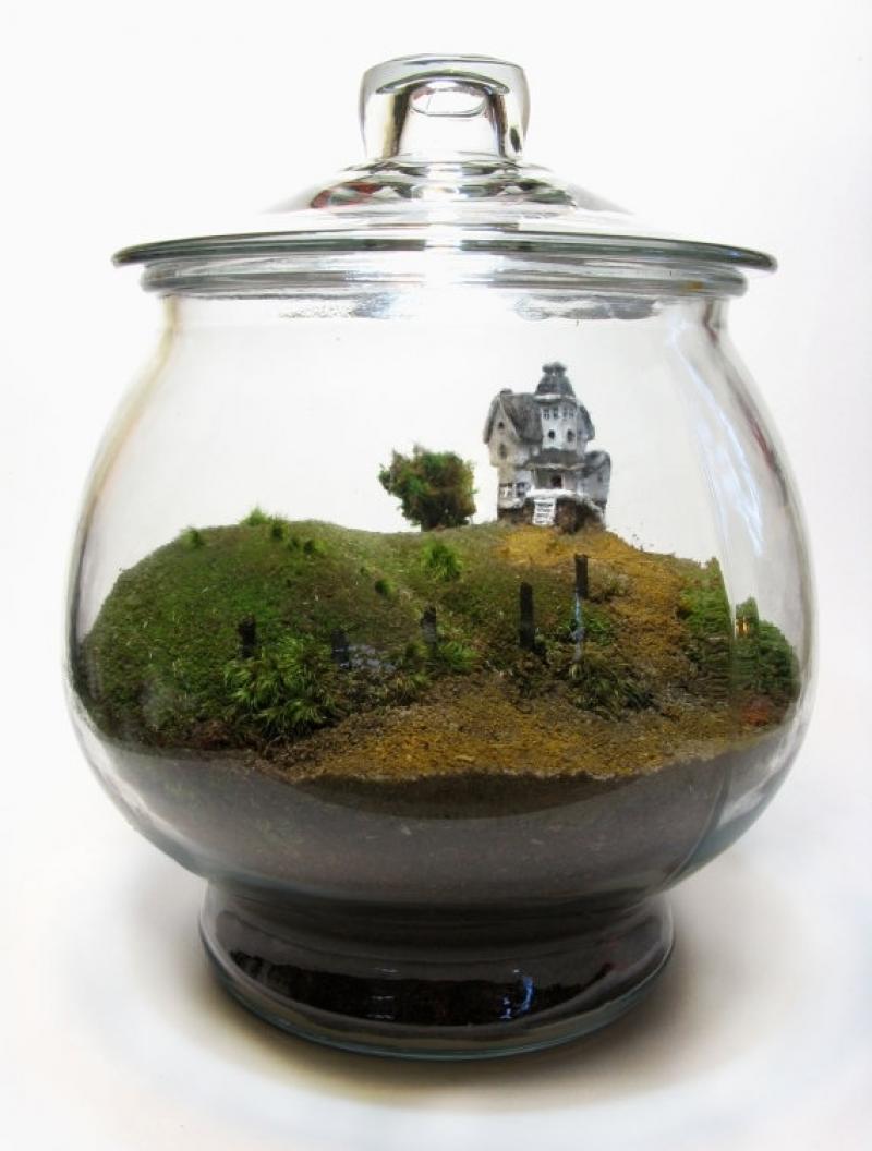 30ไอเดีย จัดสวนจิ๋ว ด้วย terrarium สวยๆ