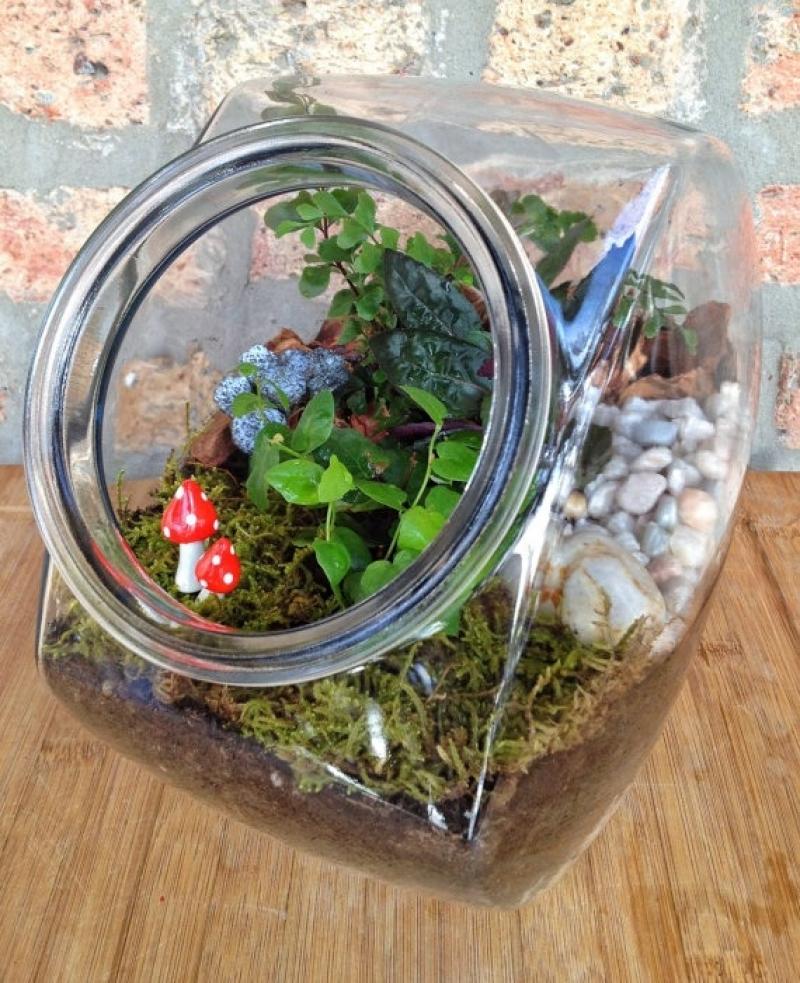 30ไอเดีย จัดสวนจิ๋ว ด้วย terrarium สวยๆ