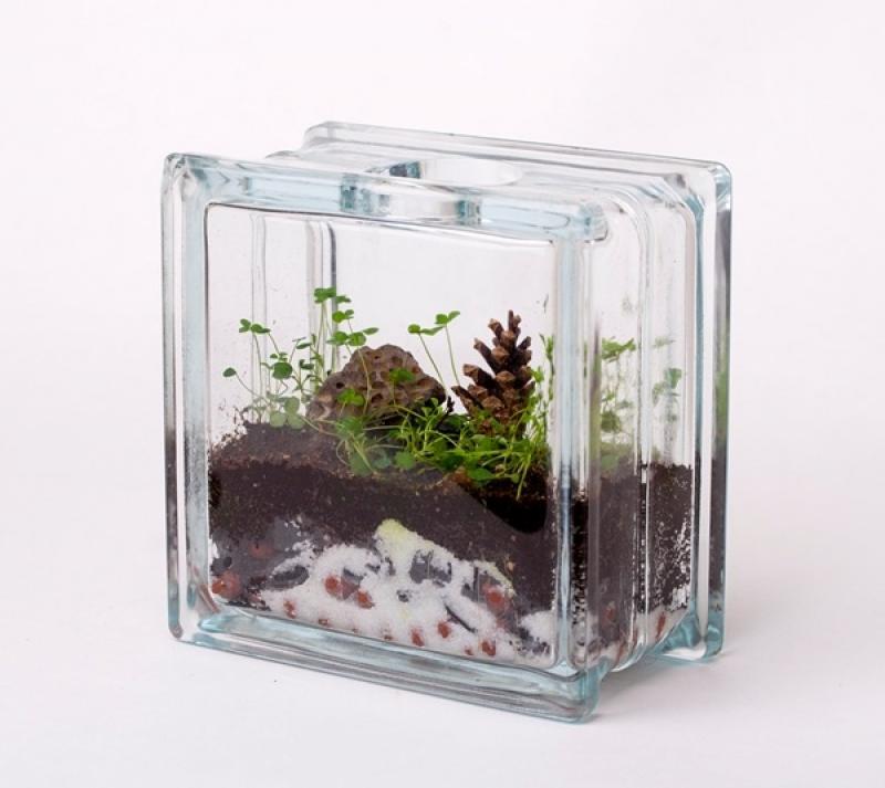 30ไอเดีย จัดสวนจิ๋ว ด้วย terrarium สวยๆ
