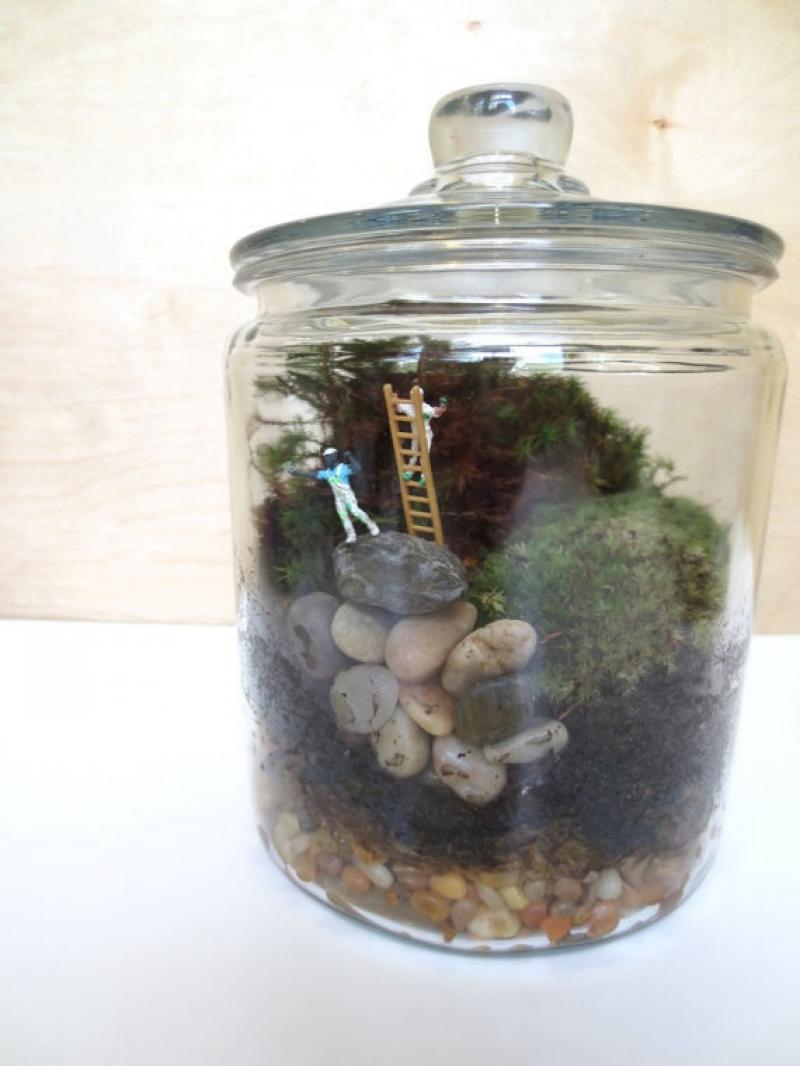30ไอเดีย จัดสวนจิ๋ว ด้วย terrarium สวยๆ