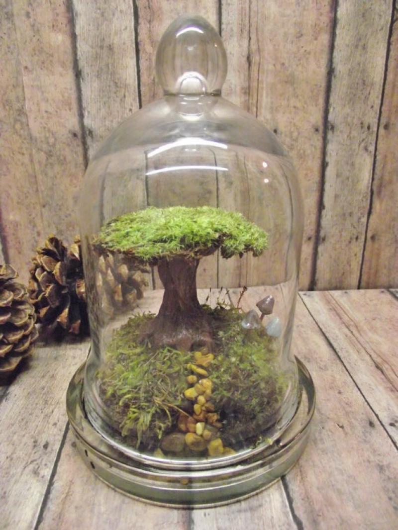 30ไอเดีย จัดสวนจิ๋ว ด้วย terrarium สวยๆ