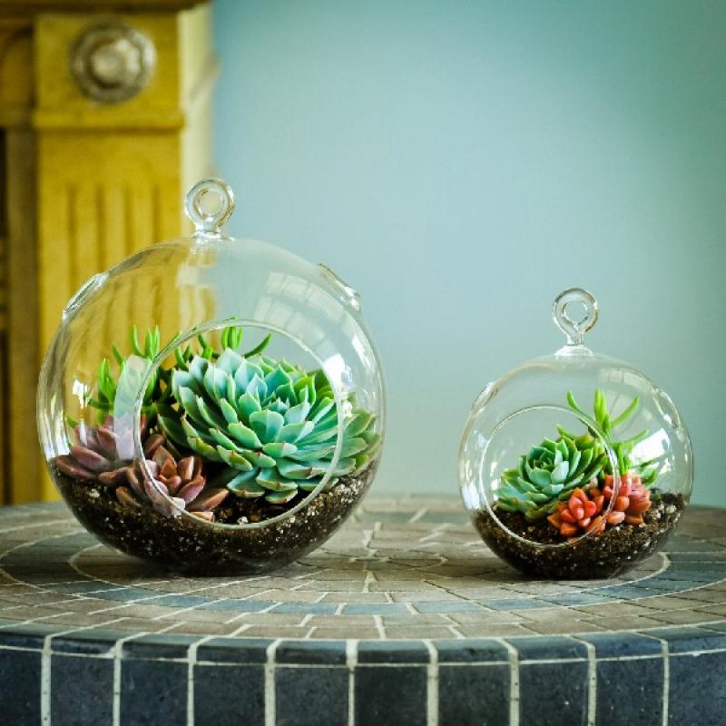 30ไอเดีย จัดสวนจิ๋ว ด้วย terrarium สวยๆ