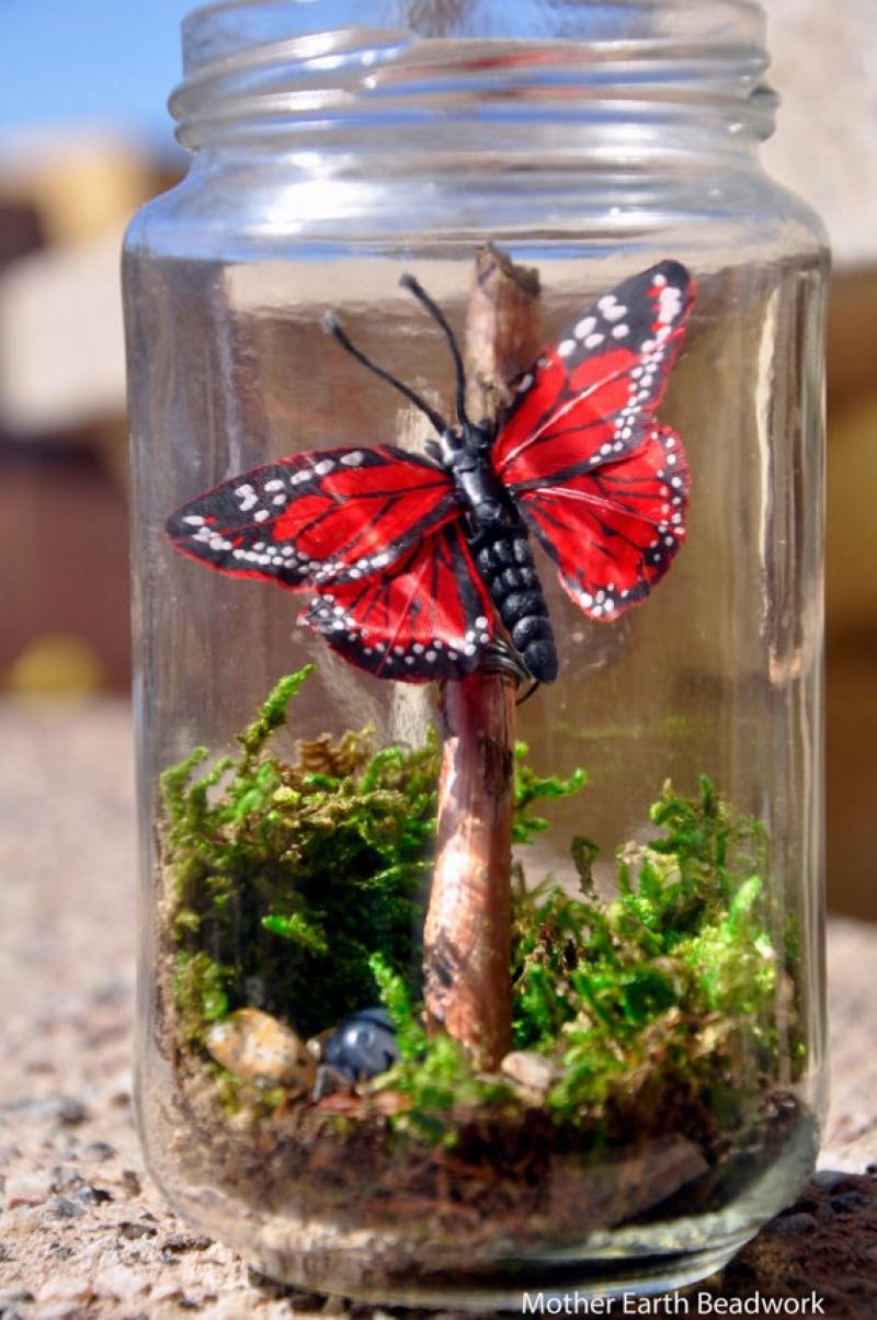 30ไอเดีย จัดสวนจิ๋ว ด้วย terrarium สวยๆ