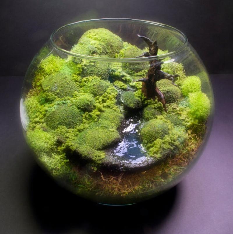 30ไอเดีย จัดสวนจิ๋ว ด้วย terrarium สวยๆ
