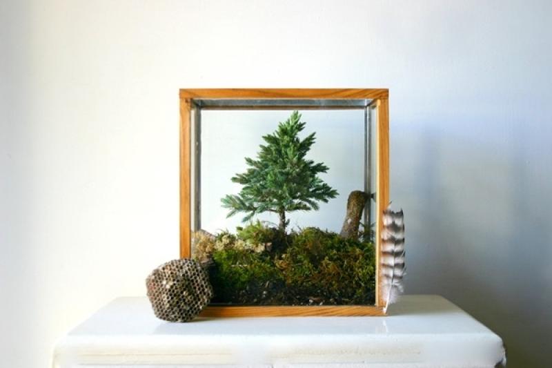 30ไอเดีย จัดสวนจิ๋ว ด้วย terrarium สวยๆ