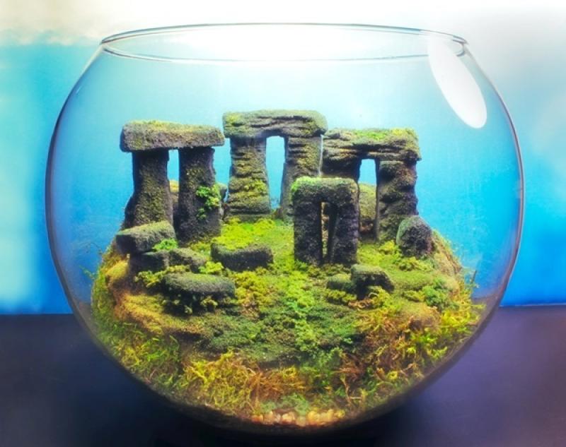 30ไอเดีย จัดสวนจิ๋ว ด้วย terrarium สวยๆ