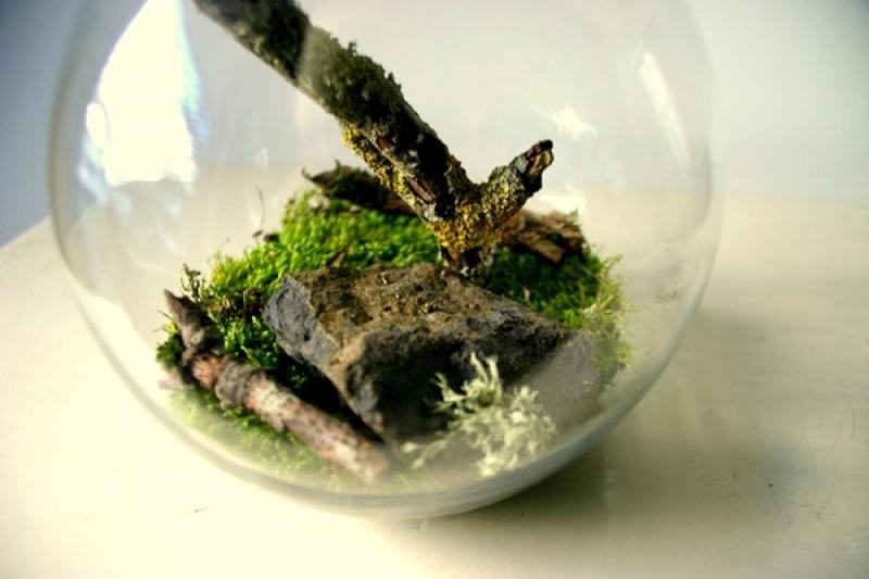 30ไอเดีย จัดสวนจิ๋ว ด้วย terrarium สวยๆ