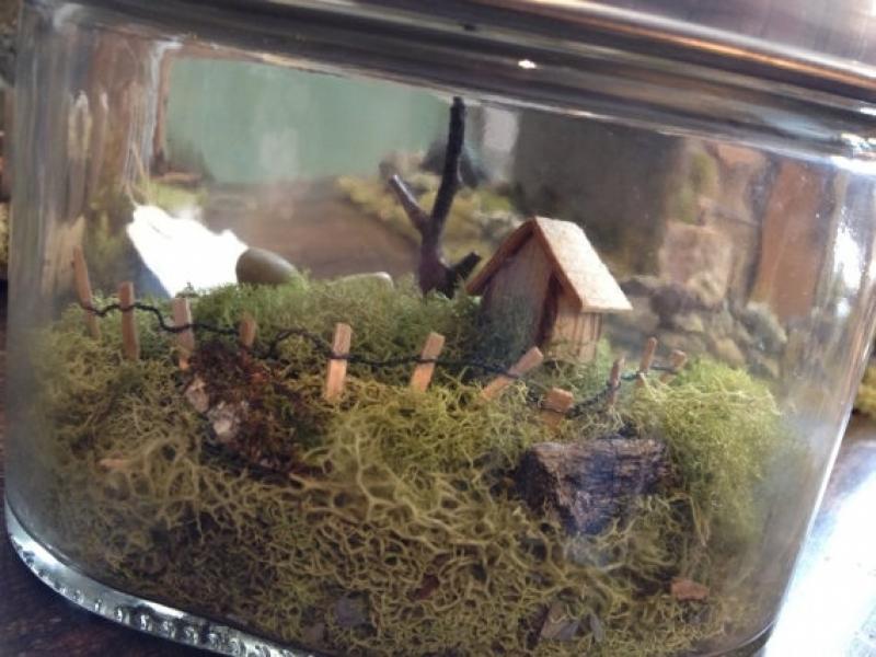 30ไอเดีย จัดสวนจิ๋ว ด้วย terrarium สวยๆ