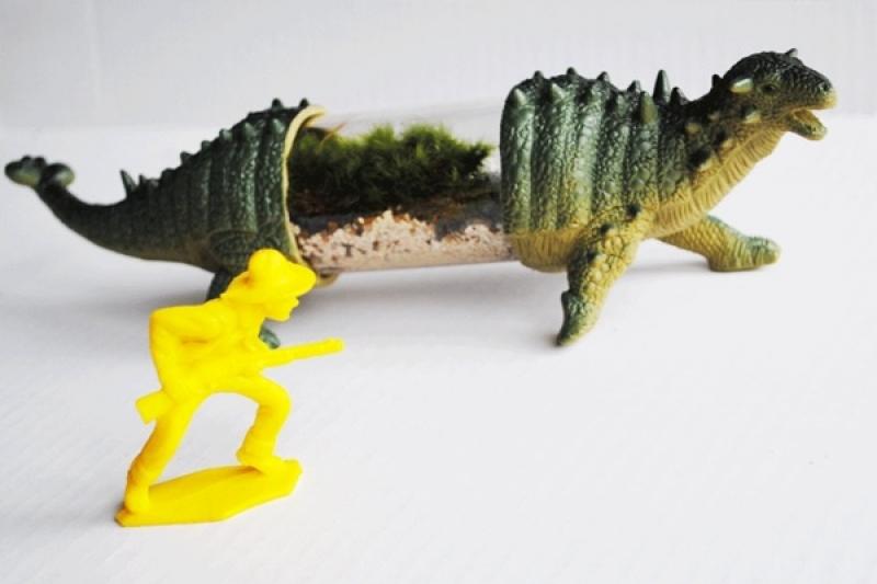 30ไอเดีย จัดสวนจิ๋ว ด้วย terrarium สวยๆ