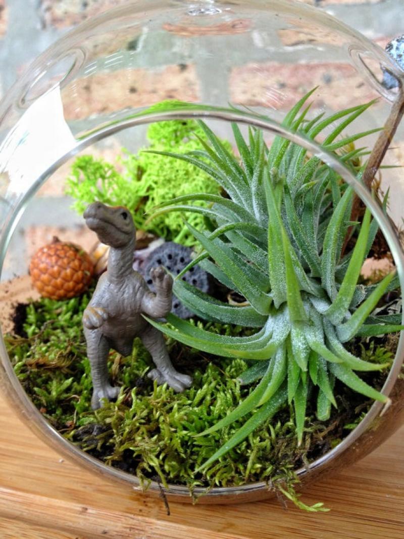 30ไอเดีย จัดสวนจิ๋ว ด้วย terrarium สวยๆ