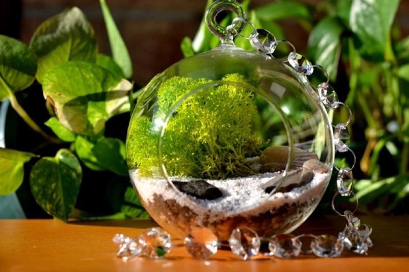 30ไอเดีย จัดสวนจิ๋ว ด้วย terrarium สวยๆ
