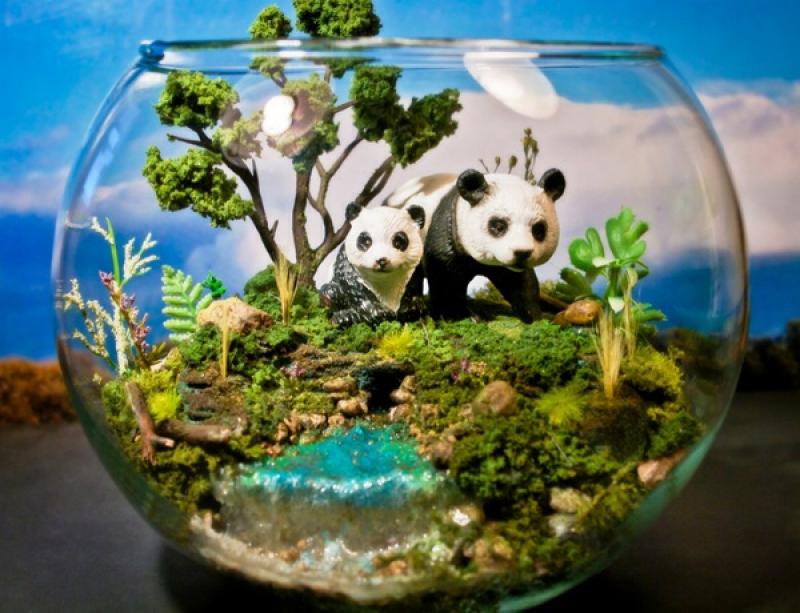 30ไอเดีย จัดสวนจิ๋ว ด้วย terrarium สวยๆ