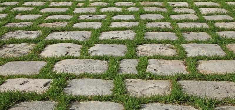 ทริคดีๆในการดูแลพื้นและทางเดินในสวน