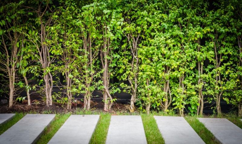 ทริคดีๆในการดูแลพื้นและทางเดินในสวน