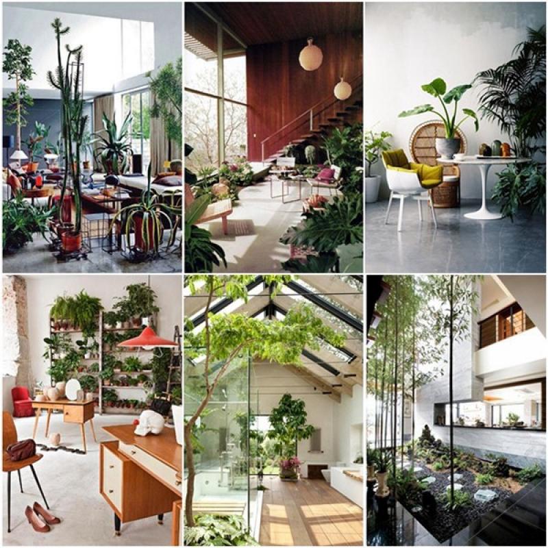 บรรยากาศสีเขียว กับการจัดสวนในบ้าน