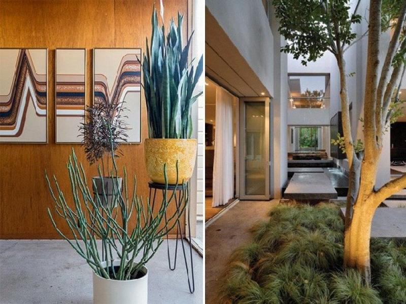 บรรยากาศสีเขียว กับการจัดสวนในบ้าน