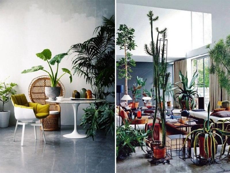 บรรยากาศสีเขียว กับการจัดสวนในบ้าน