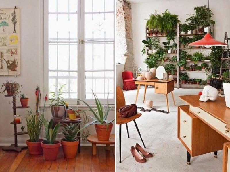 บรรยากาศสีเขียว กับการจัดสวนในบ้าน