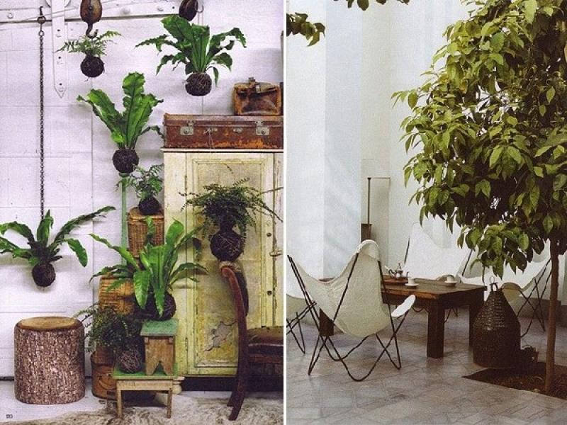 บรรยากาศสีเขียว กับการจัดสวนในบ้าน