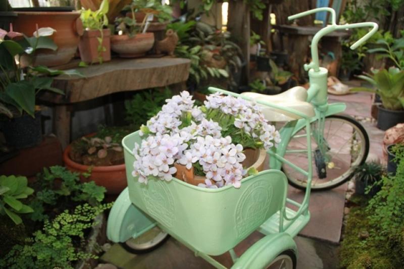 d.i.y. แต่งสวนสไตล์วินเทจ ด้วยสามล้อโบราณ