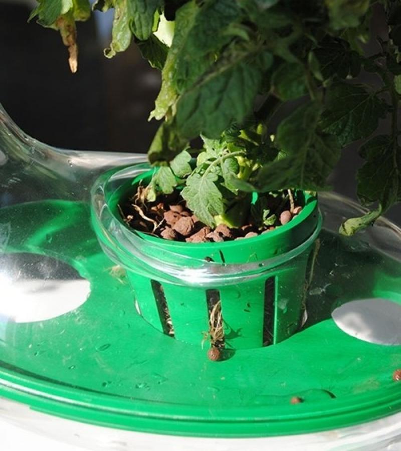 กระถางไฮเทค..ถนอมผักสด พร้อมเสริฟ